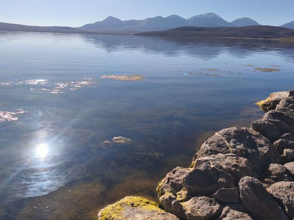 Equipos de CONAF realizando labores de limpieza en el Lago Chungará tras el derrame de aceite de soya.