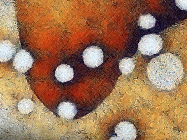 Imagen científica del Concurso Imágenes CEDENNA 2025 que revela estructuras del nanomundo obtenidas mediante microscopía avanzada.