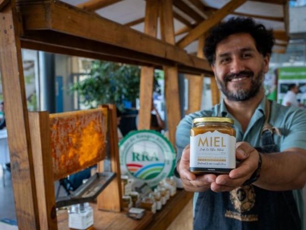 Certificación para la miel en O'Higgins