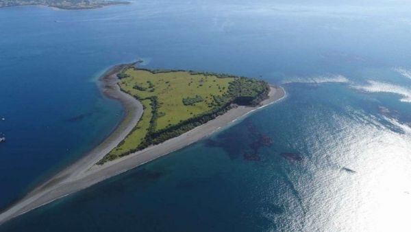 Viuda vende isla en Chiloé