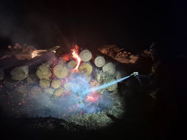 Robo de madera en Coronel