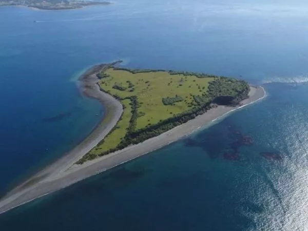 Viuda vende isla en Chiloé