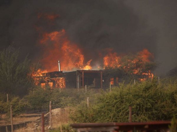 Incendio en Maule