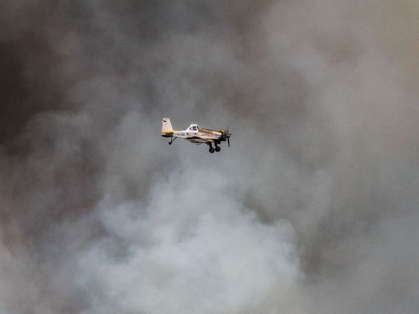 Se declara Alerta Roja para Nueva Imperial por incendio forestal