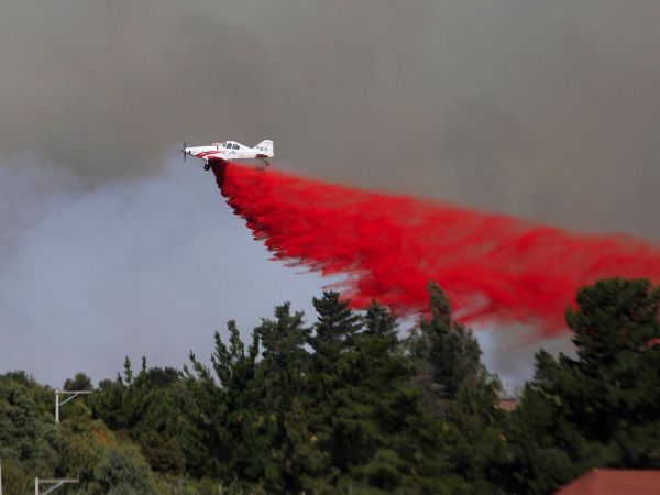 Devastador incendio en Maule