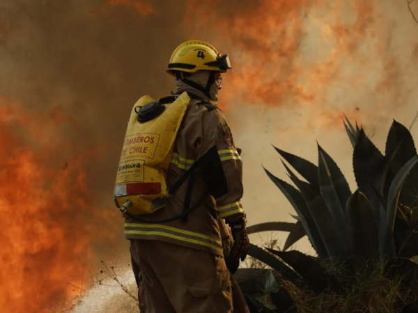 Pichidegua incendio forestal