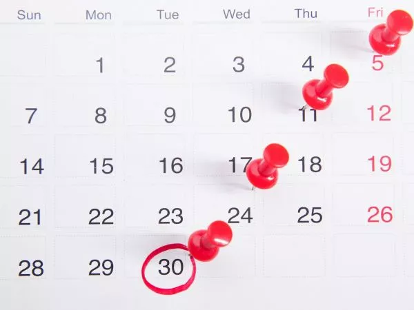 Calendario 2026