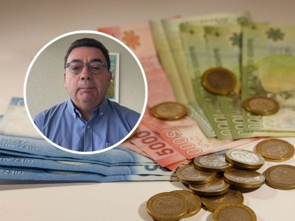 Bonos previsionales de enero