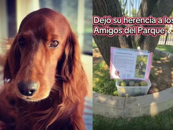 Dueño de perrita fallecida donaron sus pelotas en el parque donde ella paseaba
