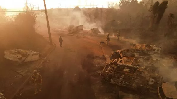 Peuco tras incendios forestales