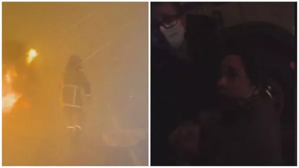 Video: madre entrega a sus bebés en incendio forestal