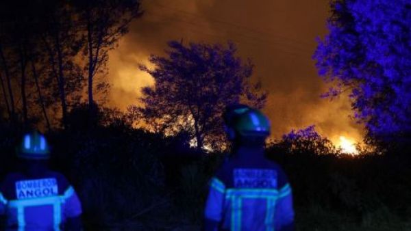 Bomberos atacados en Angol mientras comabtían incendios: 