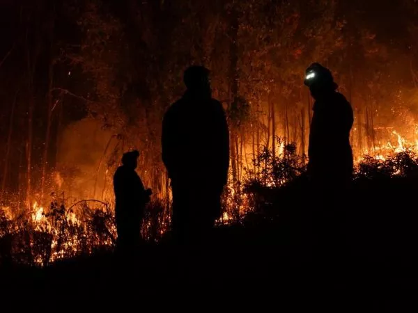 Incendio Forestal. Foto referencial.