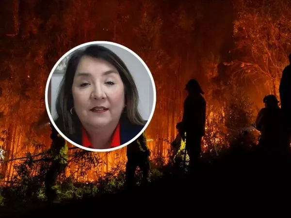 Nayalet Mansilla, Fiscal regional de Ñuble