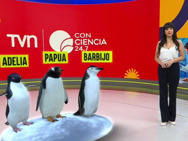 Conciencia 24.7 del 22 de enero de 2026.