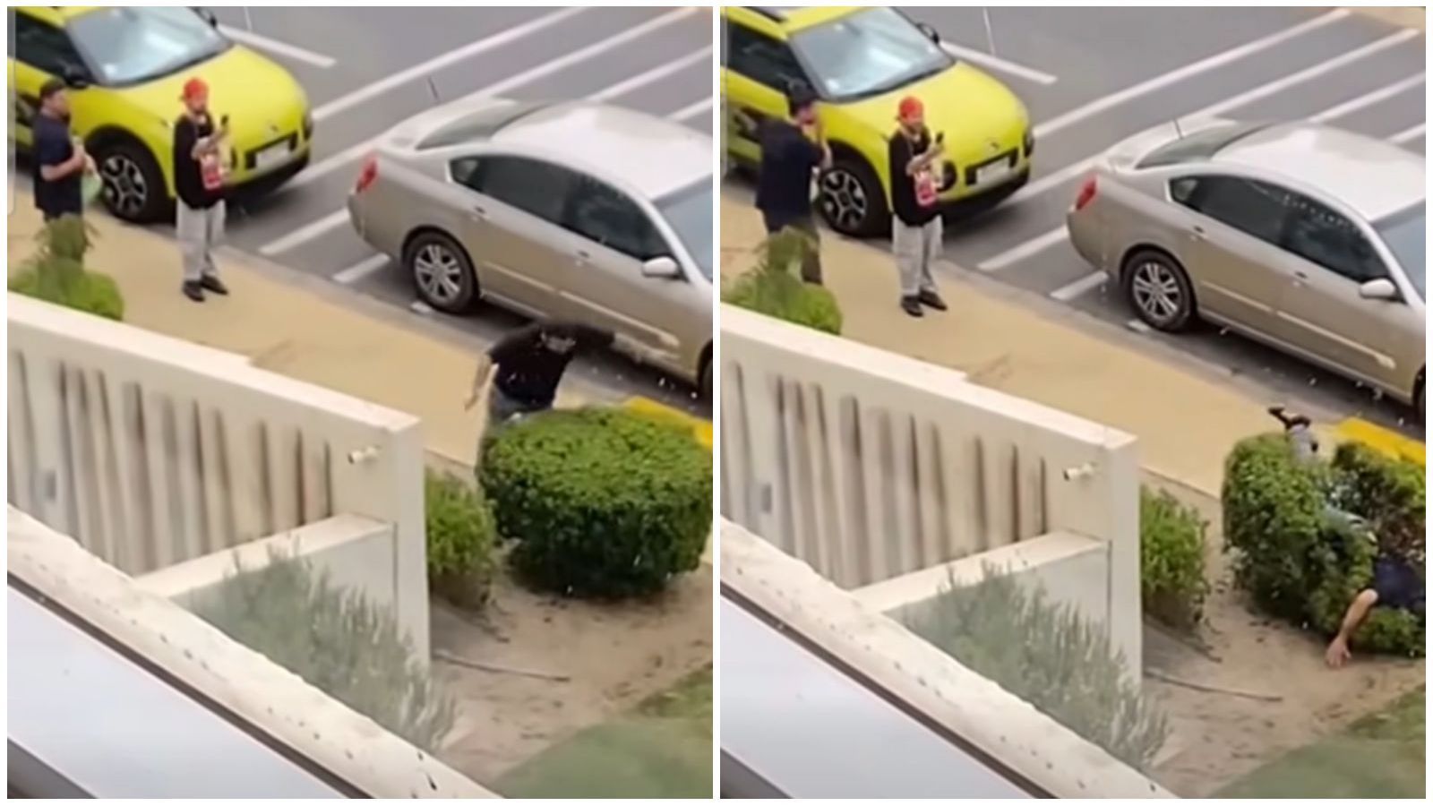 Sujeto se graba dañando arbusto en Concón.