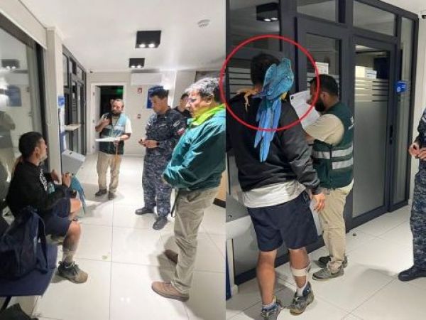 SAG fiscalizó a sujeto que se paseaba por Algarrobo con un guacamayo y lagarto