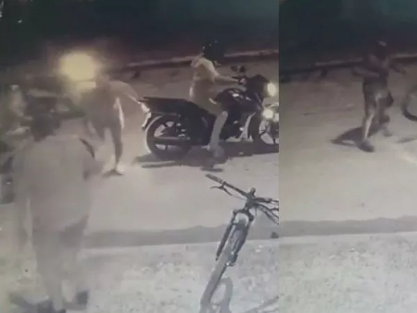 Cámaras de seguridad registran asalto