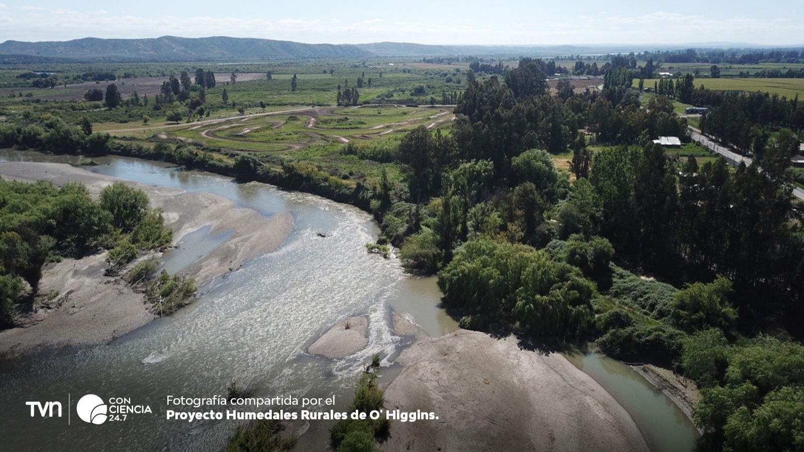 Día Mundial de los Humedales: claves para la biodiversidad en Chile.