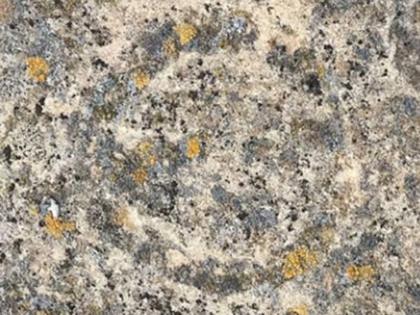 Grabado rupestre en roca de arenisca registrado en Sierra Baguales, Región de Magallanes.