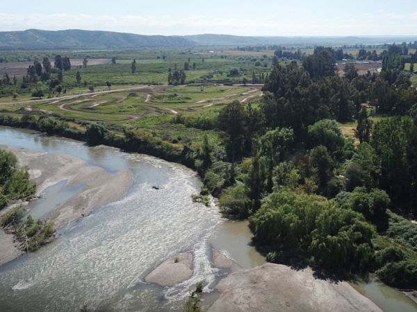 Día Mundial de los Humedales: claves para la biodiversidad en Chile.
