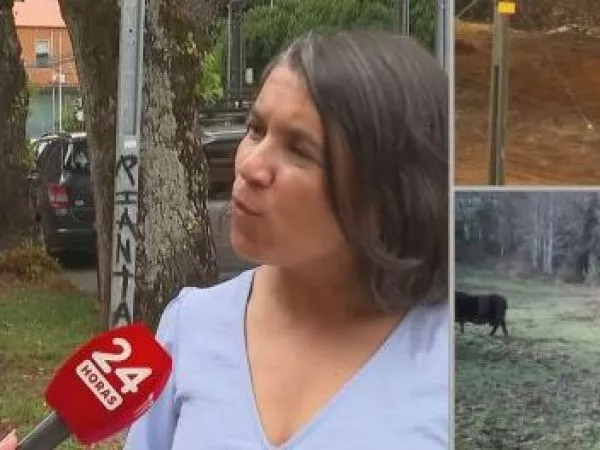 Defensa de hijos de Julia Chuñil acusa investigación “dañosa y dirigida”