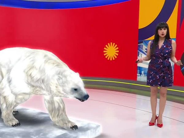 Revivamos Conciencia 24.7: 5 de febrero.