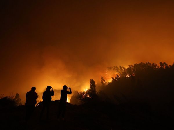 Decretan Alerta Roja en Nueva Imperial por incendio forestal