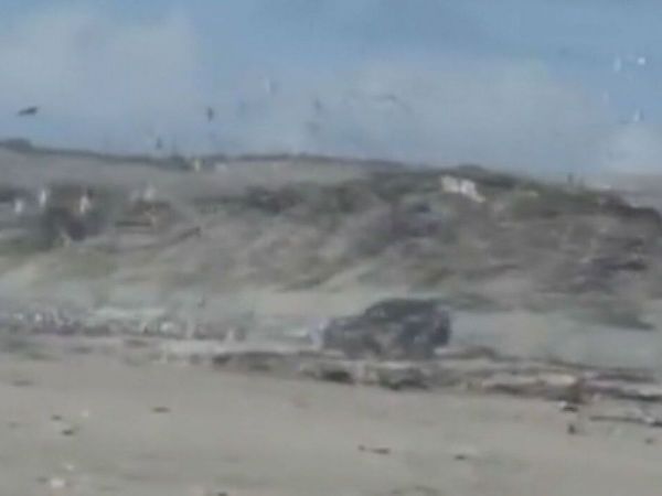 Sujeto ingresó con su auto a área protegida en playa Ritoque