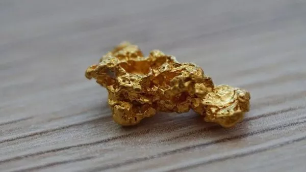 Empresario chino busca explotar oro en el sur de Chile