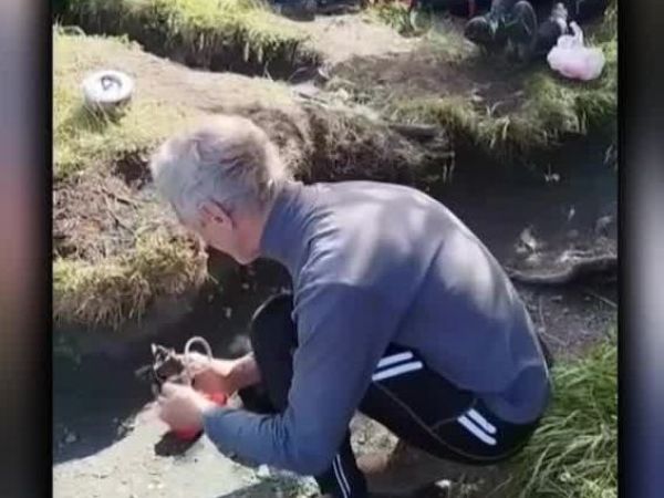 Cuatro turistas fueron detenidos por encender fuego en Parque Nacional Torres del Paine
