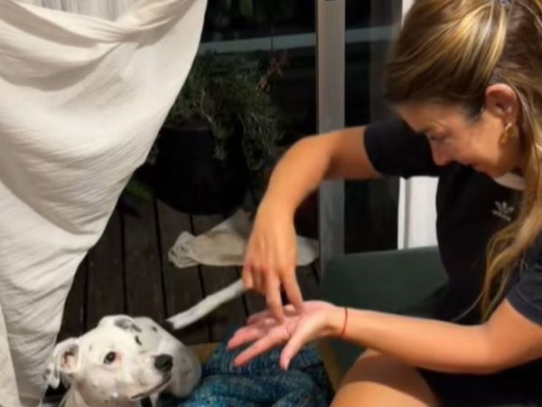 El perrito sordo es viral en TikTok