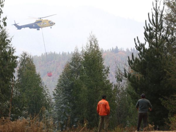 Por incendio forestal: solicitan evacuar sectores de la comuna de Vichuquén