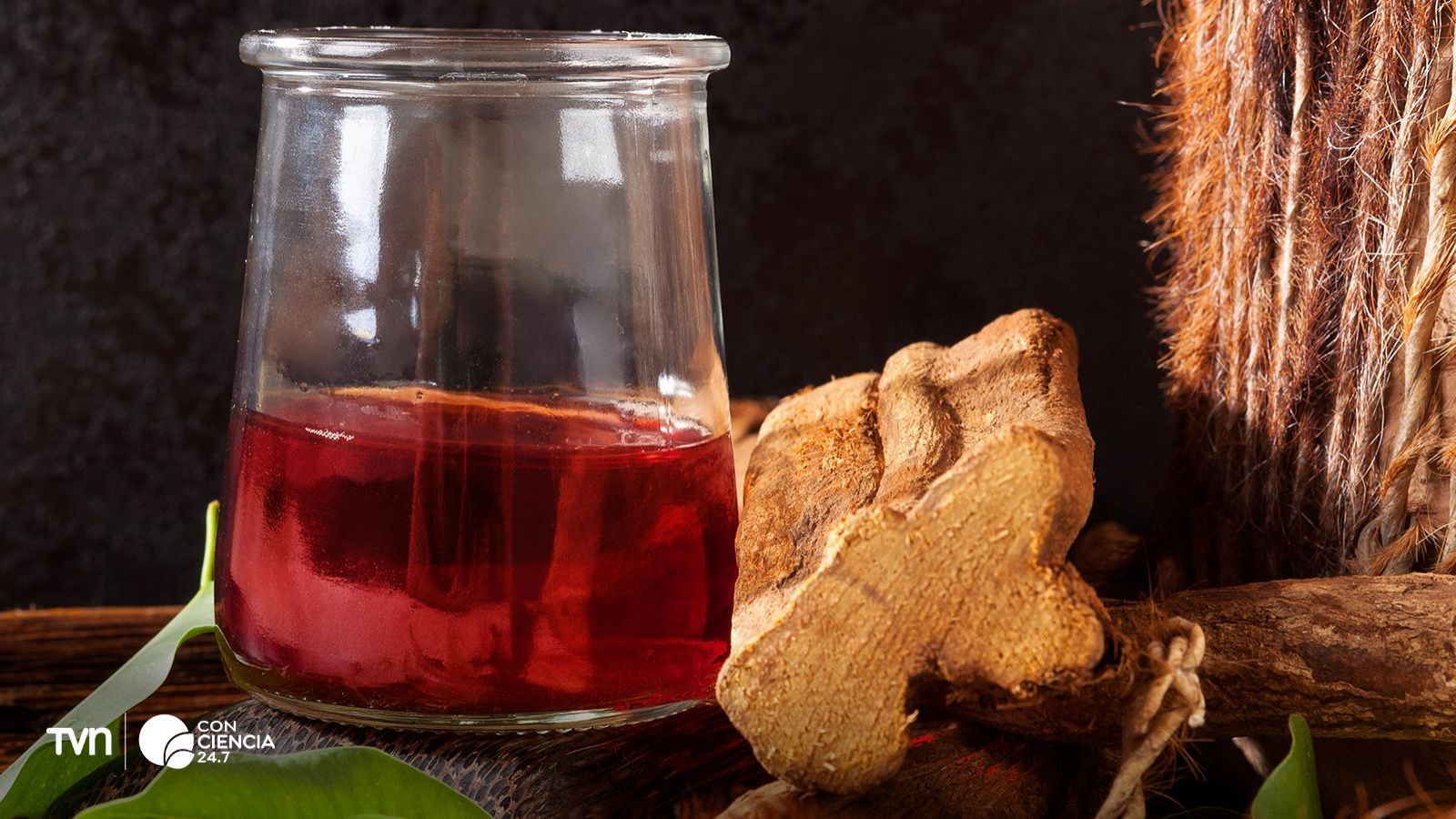 Ayahuasca. Bebida y raíz.