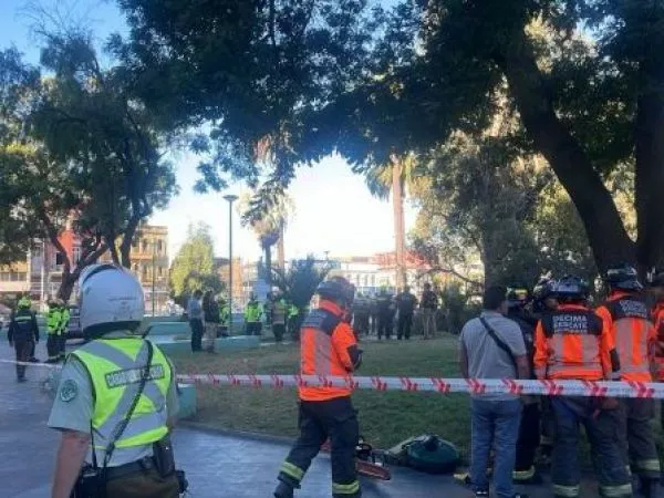 mujer muerte tras caída de árbol en Valparaíso