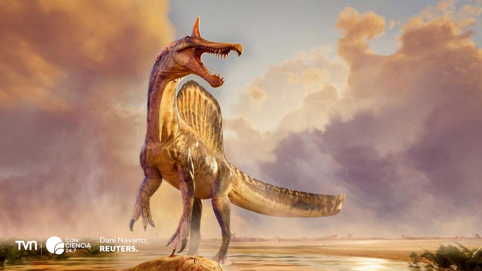 Spinosaurus nuevo del Sahara.