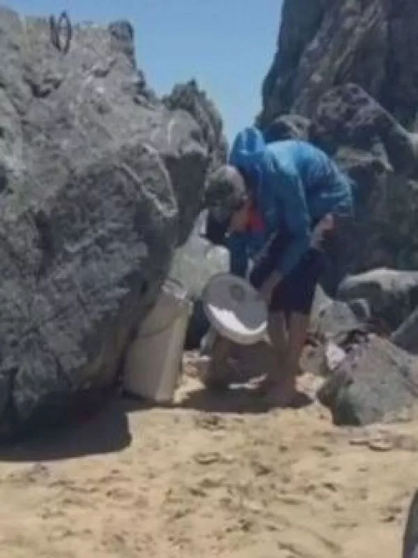 Robo de locos y erizos en áreas de manejo de Quintay