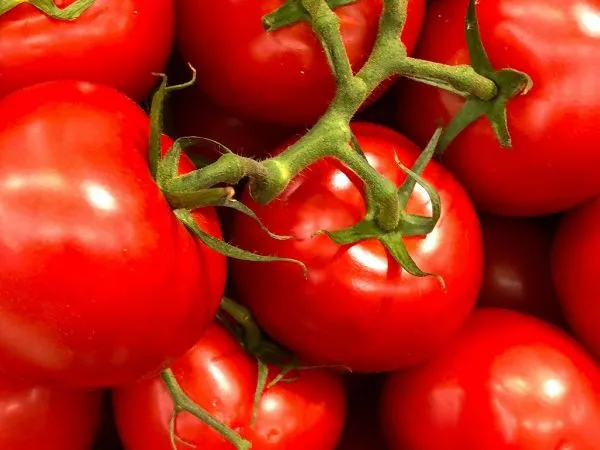 Tomate editado con CRISPR logra aroma a palomitas.