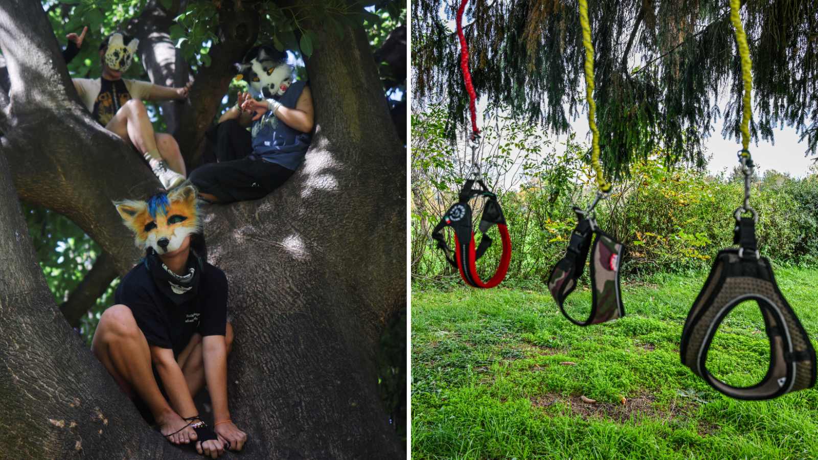 Personas como Therian y correas de Hobby Dogging