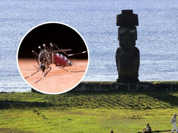 Dengue en Rapa Nui.