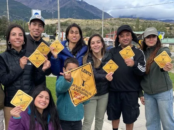 Campaña busca frenar atropellos de huemules.