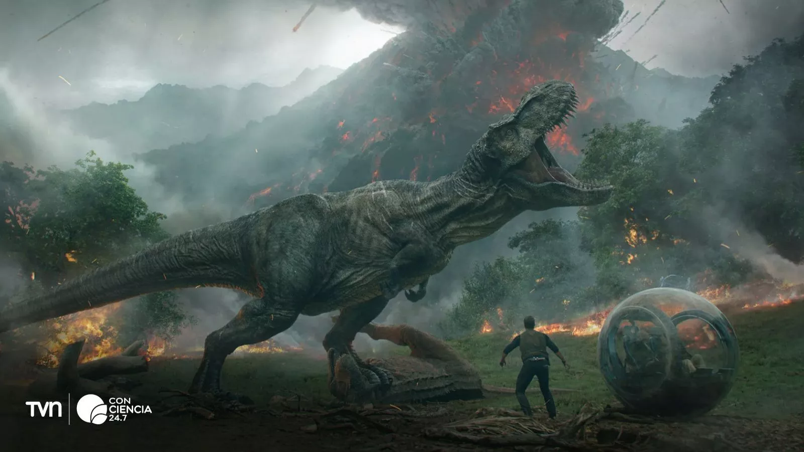 Fósil descubierto revela antiguo tiranosaurio gigante.