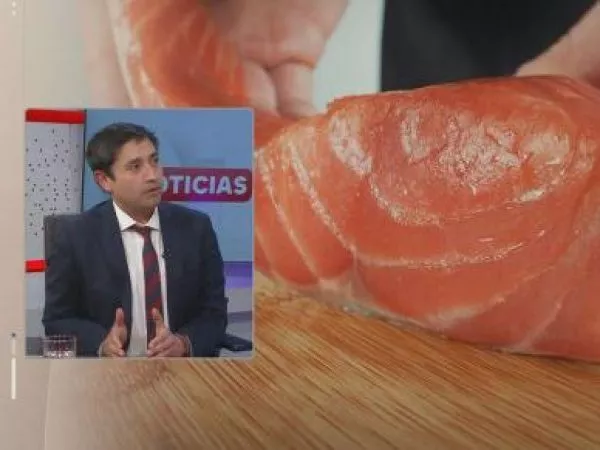 salmones ONG Noruega