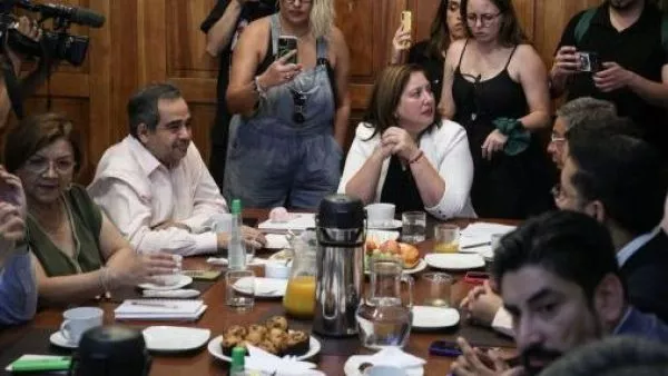 Paulina Vodanovic, presidenta del PS.