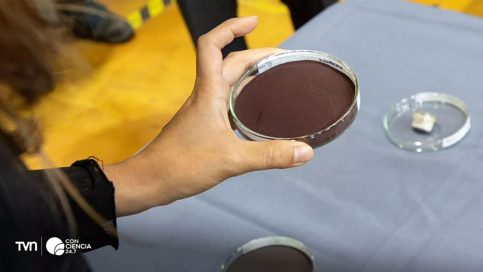 Cobre procesado sin contaminantes.