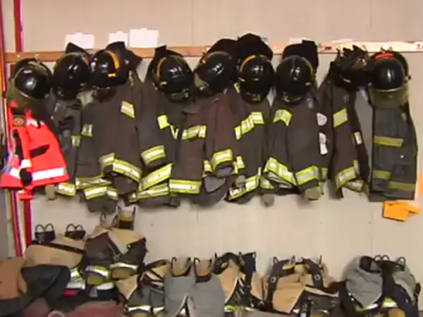 Depredadores en el cuartel