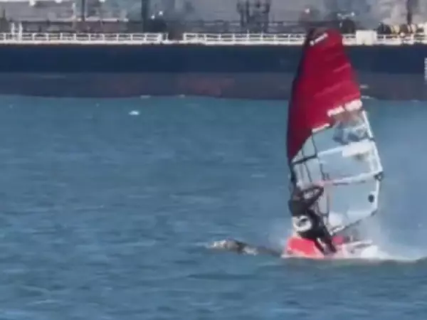 choque ballena windsurf