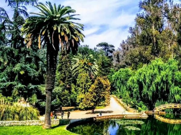 SAG confirma caso de gripe aviar en Jardín Botánico Nacional de Viña del Mar