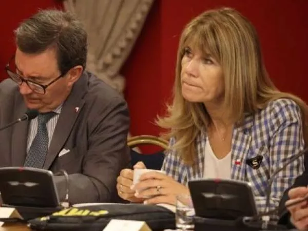 ximena rincon subsidio electrico