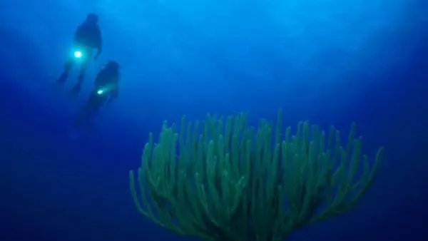 Qué hay detrás del misterio de la 